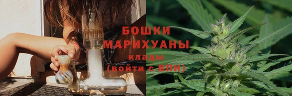 твердый Алзамай