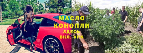 твердый Алзамай