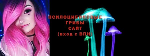 твердый Алзамай