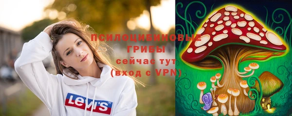 синтетический гашиш Алексин