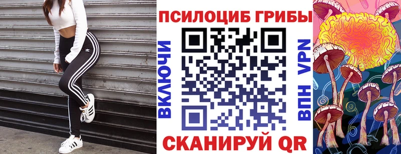 Галлюциногенные грибы Psilocybine cubensis  Александровское 